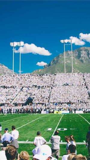 蜘蛛池app运营截图3