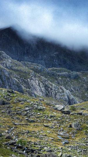 关于蜘蛛池提升收录量截图4