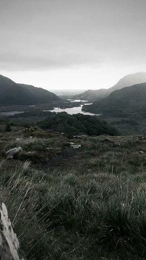 福州网站建设制作截图3