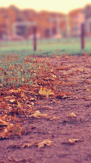 seo站长工具视频营销截图2