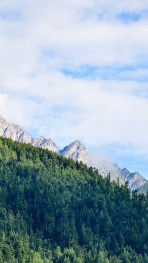 蜘蛛池程序php截图3