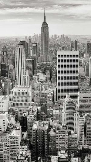 东莞手机网站建设截图4