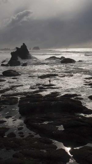 蜘蛛池软件哪个好截图4