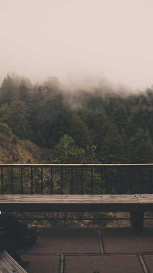 哪家建设网站截图1