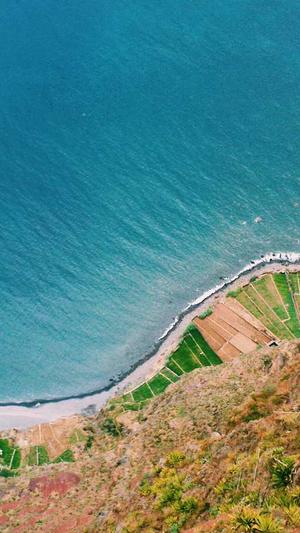 蜘蛛池外推教学截图3