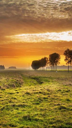 网站seo服务截图1