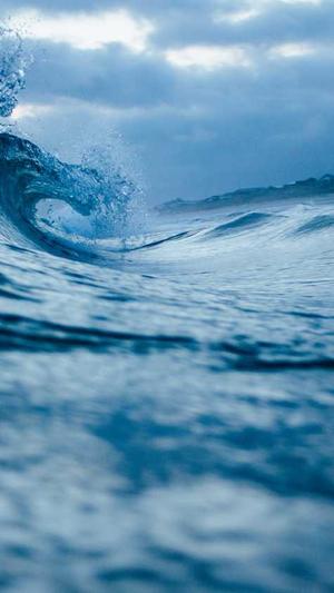 网站建设总结截图4