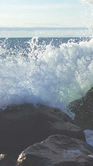 中国建设网官方网站截图2