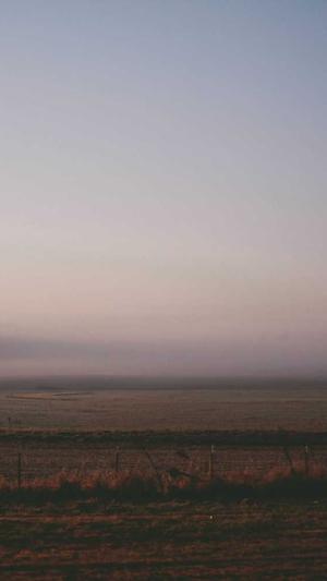 漳州网站建设截图3