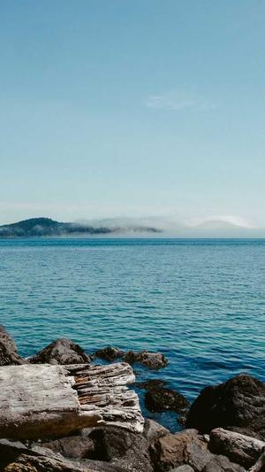 百度seo 工具截图1