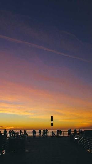 蜘蛛池出租排名截图3