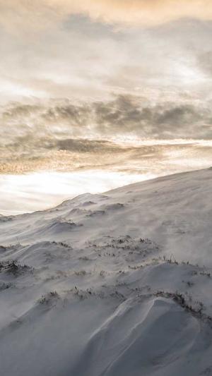 基础网站建设截图2