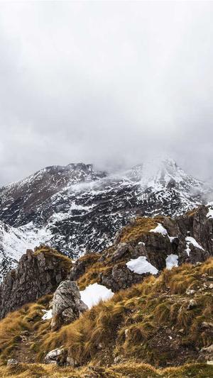 小型蜘蛛池购买截图4
