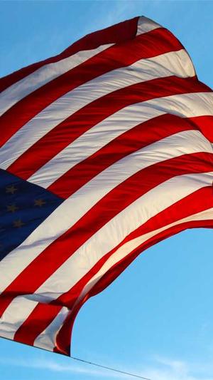 泛目录站群软件最新版截图3