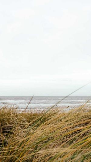 偃师网站建设截图2