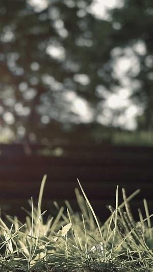 seo站长工具测试截图2