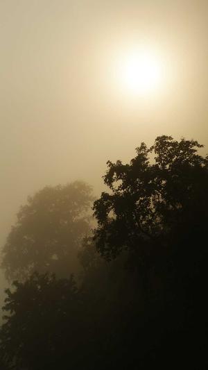 那个蜘蛛池好截图2