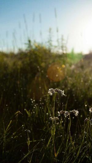 标准网站建设多少钱截图1
