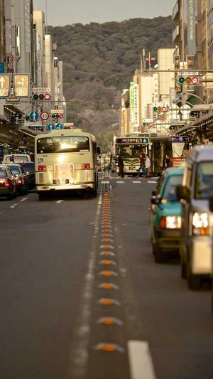 蜘蛛池购买平台截图4