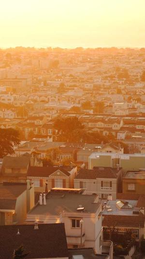 黑侠蜘蛛池2.0破解版截图4