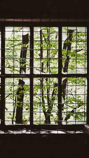 红蜘蛛池在哪里看蜘蛛截图4