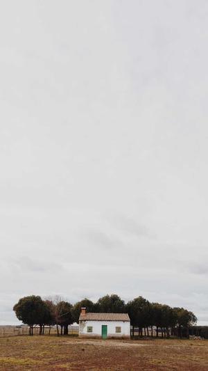 快速收录网站泛目录截图5