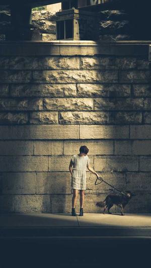 谷歌seo关键词工具截图1