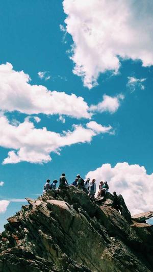 seo发包工具截图2