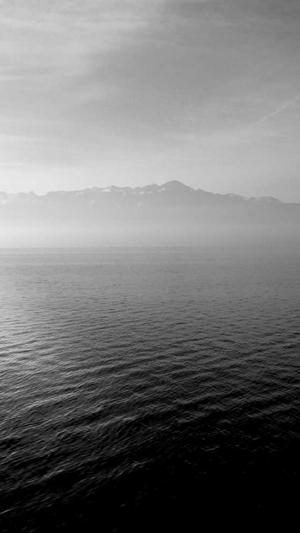 泛目录排名seo教程截图3