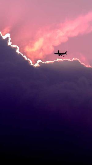 seo分析工具截图4