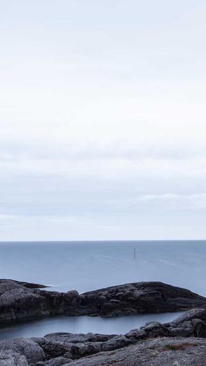 百度蜘蛛池出租选哪家截图2