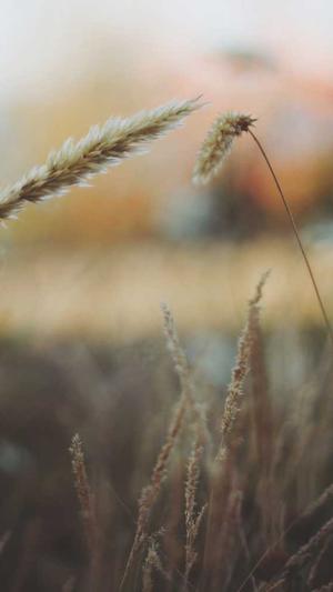 网站建设技巧截图2