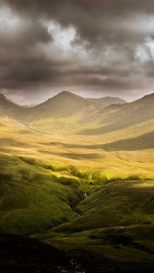 蜘蛛池免费版下载安装截图1