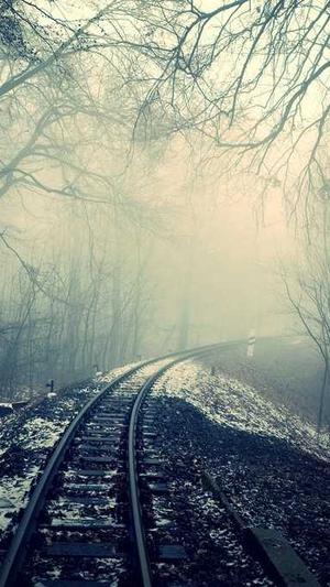 蜘蛛池如何搭建图解法截图1