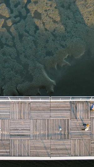 seo外链工具截图2