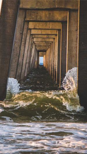 seo管家中心截图4