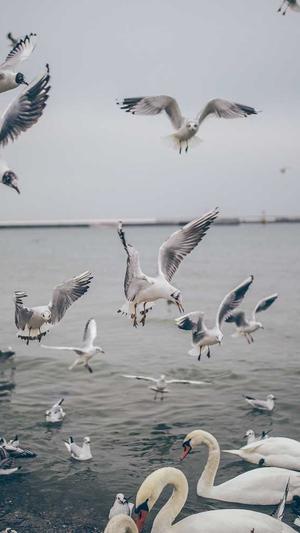 seo工具app 分类截图3