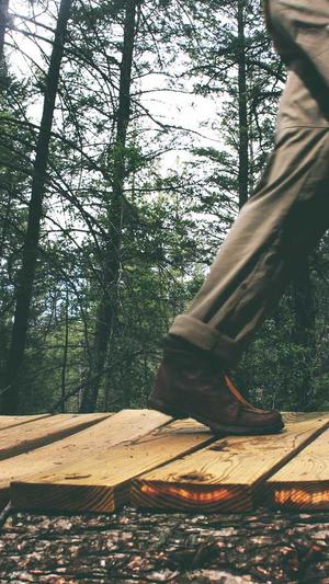 seo排名工具快速提高截图1