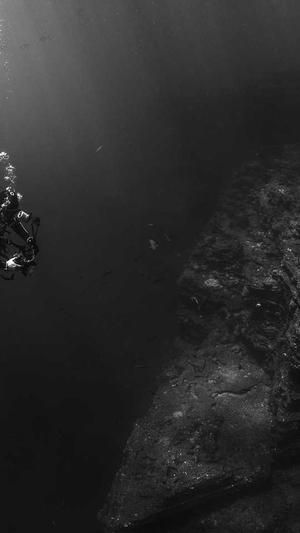 SEO案例分析截图1