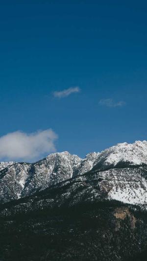 蜘蛛池快速提升排名截图1