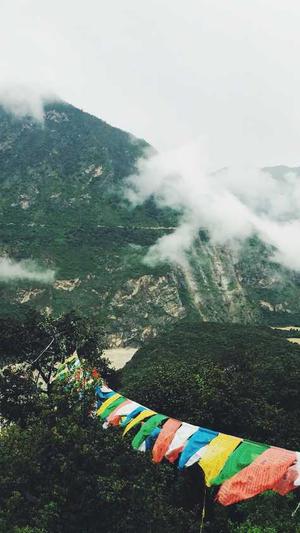 seo综合查询工具可以查看哪些数据截图5