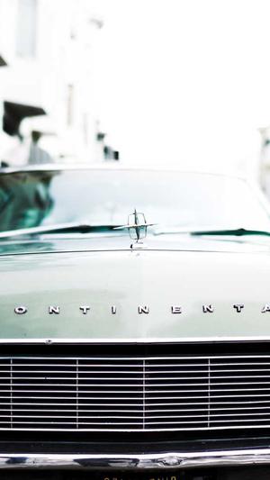 蜘蛛池出租排名截图2