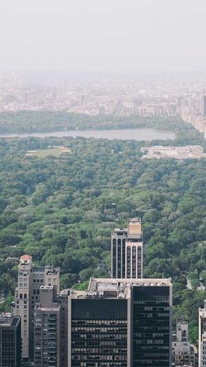 call泛目录程序截图3