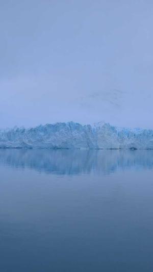 小型蜘蛛池购买截图2