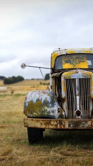微网站建设截图2