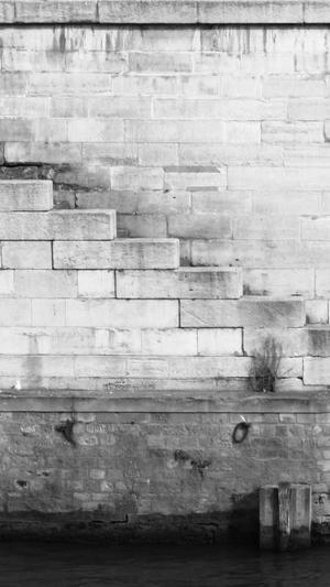 免费蜘蛛池网页版登录截图4