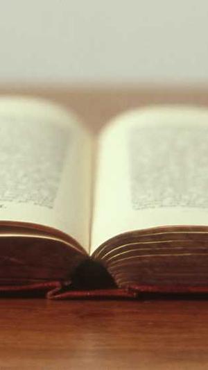 如何把网站放入蜘蛛池截图4