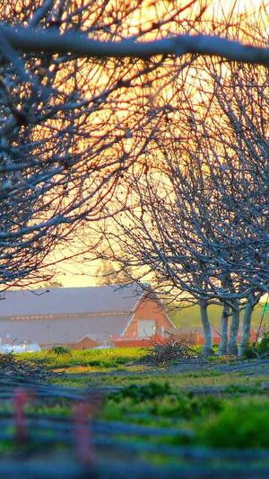 蜘蛛池的寄生虫多吗截图1
