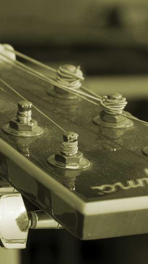 泛目录最新软件截图1