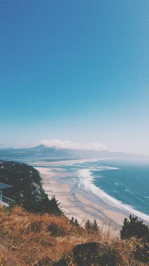 seo排名工具原理揭秘截图1